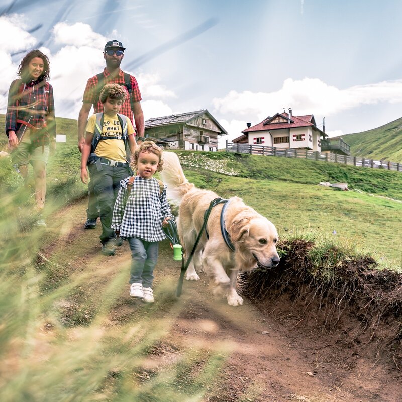 Passeggiate Per Famiglie